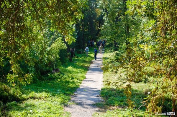 Частина підприємців проігнорувала толоку в луцькому парку. ФОТО