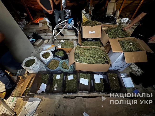 Наркотичні смаколики: подружжя з Луцького району замасковували психотропи в кондитерські вироби