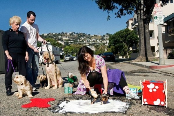 Як привернути увагу до поганого стану доріг. ФОТО