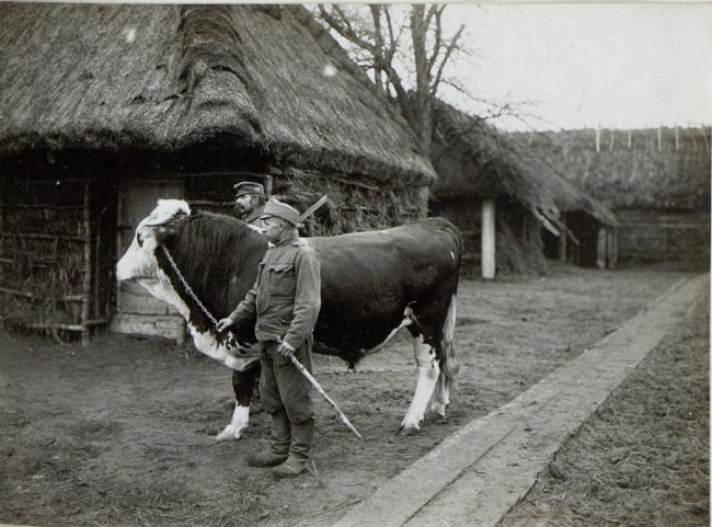 Якими були ферми і сироварні на Волині  сто років тому. РЕТРОФОТО