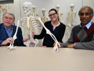 Учені виявили нову стадію еволюції людини