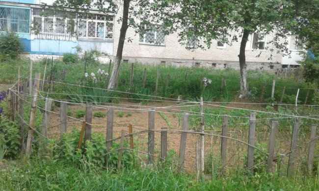 Муніципали ліквідували паркани на Писаревського