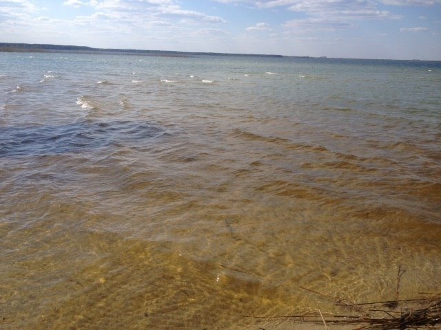 Стало відомо, чому вода у Світязі змінювала колір