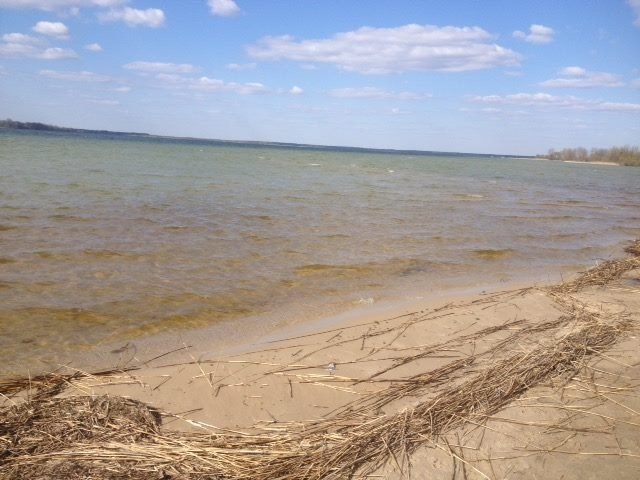 Стало відомо, чому вода у Світязі змінювала колір