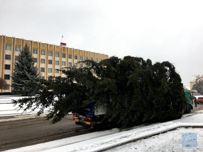 У Нововолинську під час встановлення розвалилася головна ялинка міста. ФОТО