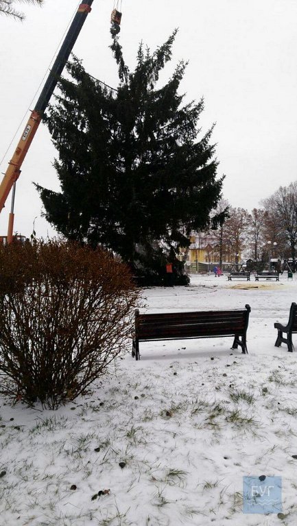 У Нововолинську під час встановлення розвалилася головна ялинка міста. ФОТО