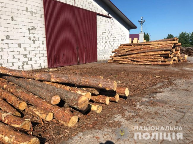 На Камінь-Каширщині – масштабні обшуки: вилучили сотні кубів незаконної деревини. ФОТО