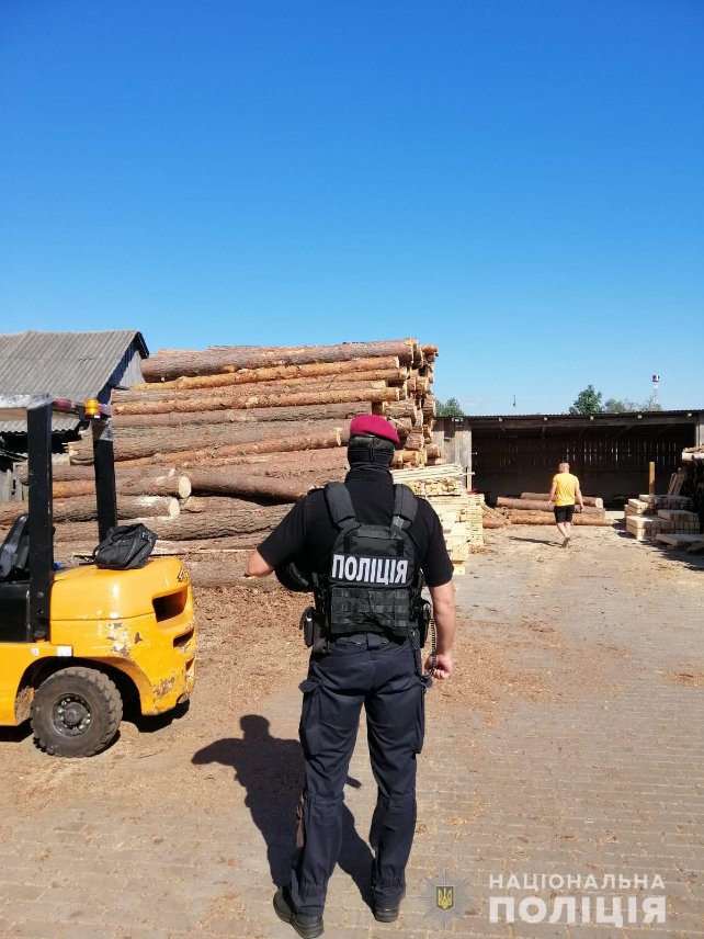 На Камінь-Каширщині – масштабні обшуки: вилучили сотні кубів незаконної деревини. ФОТО