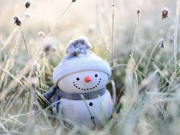 Погода у Луцьку та Волинській області на завтра, 23 грудня