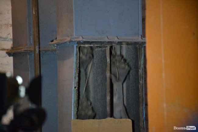 Банк насіння, плантації, шишкосушарки: як на Волині готують «нові ліси»