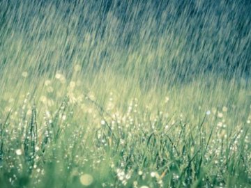 Погода в Луцьку та Волинській області на завтра, 4 червня