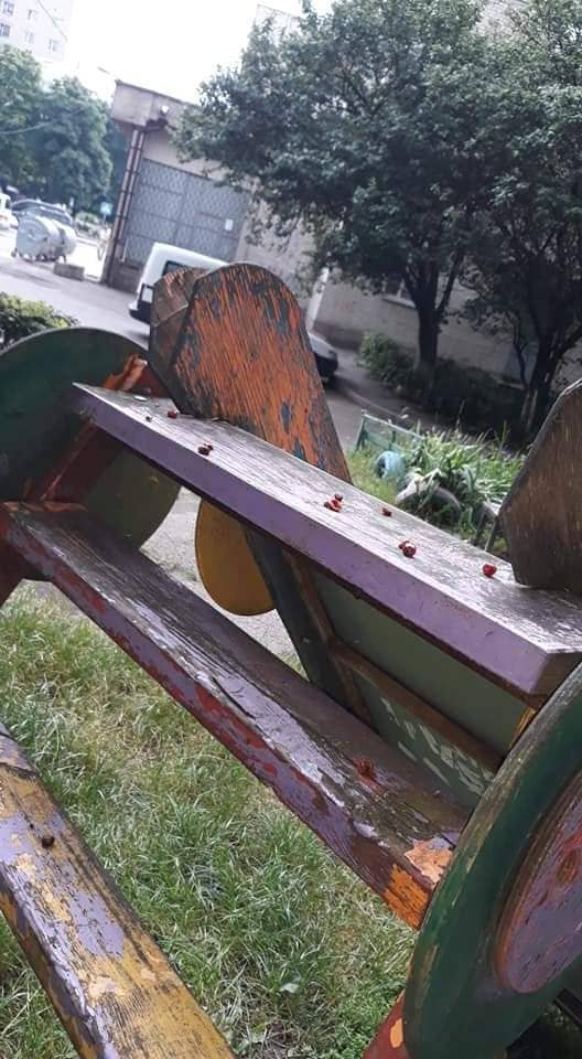 У Луцьку через небезпечну гірку травмувалась дитина. ФОТО