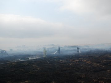 Рятувальники закликають волинян не палити сухостій