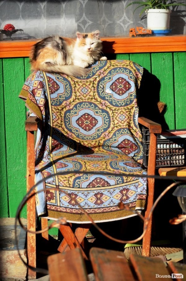 Фотопогляд: проспект Перемоги