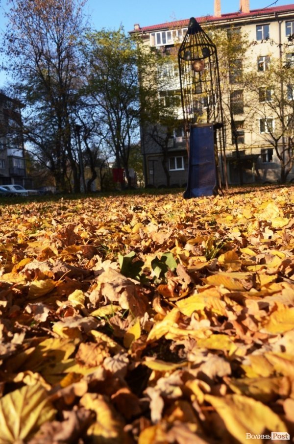 Фотопогляд: проспект Перемоги