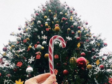 У скільки влетить Володимиру-Волинському головна ялинка міста