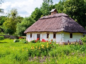 Показали, який вигляд мала волинська хата понад століття тому