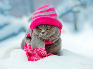 Синоптики попередили про мороз і хуртовини