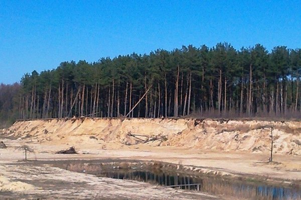 «Правий сектор» на Волині блокує незаконний видобуток піску