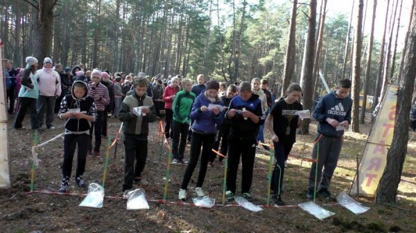 Понад 600 волинських школярів позмагалися у спортивному орієнтуванні. ФОТО