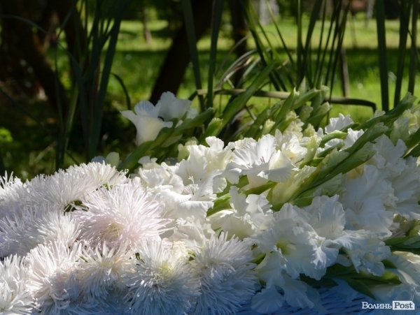 Свято квітів у Луцьку. ФОТО