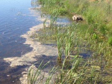 Волинянин просить перевірити, чи не зливають нечистоти у річку Турія 