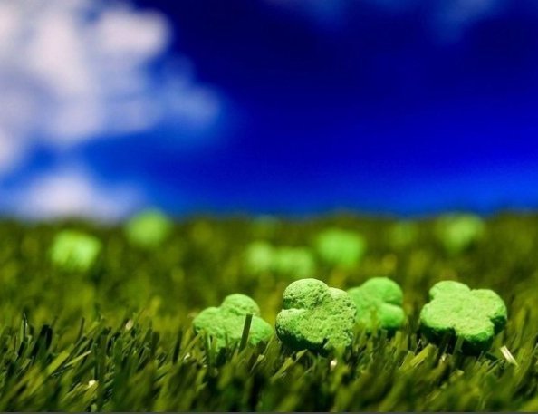 Як перетворити сніданок на пейзаж. ФОТО