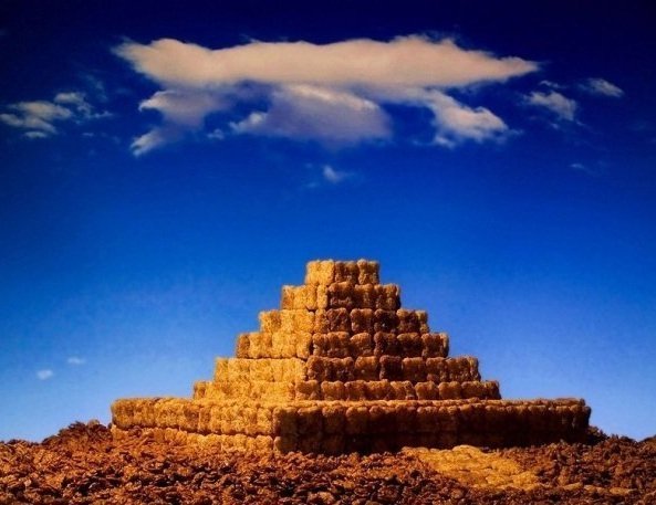 Як перетворити сніданок на пейзаж. ФОТО