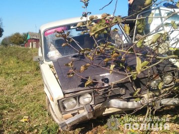 Волинянин викрав автомобіль і п'яний злетів у кювет