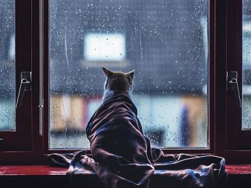 Погода на завтра, 26 лютого, на Волині та у Луцьку