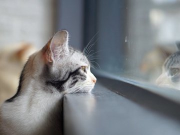 Погода у Луцьку та Волинській області на вівторок, 15 грудня