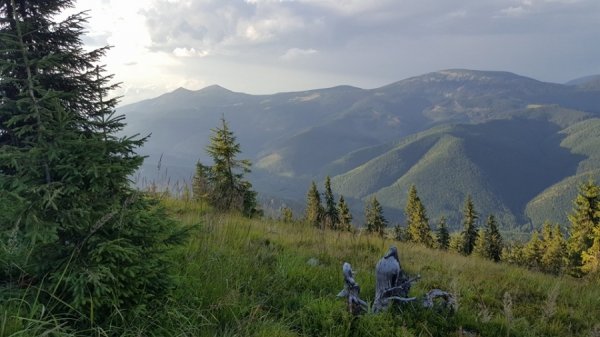 Українська прем’єра: у Луцьку покажуть стрічку «Жива»