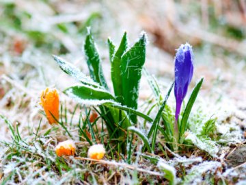 Українців попереджають про сильні заморозки 