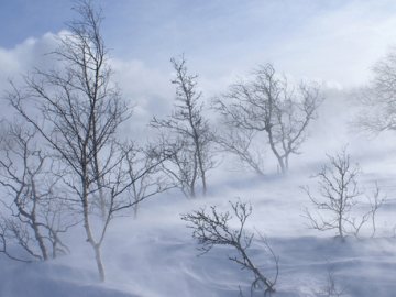 Волинські рятувальники витягли із заметів 11 авто
