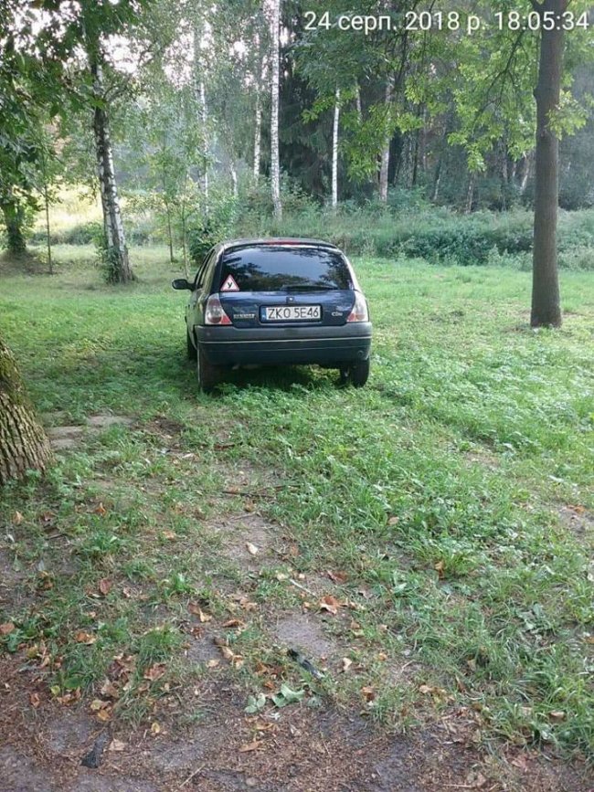 Буси, джипи, «бляхи»: у луцькому парку штрафували автоандонів. ФОТО