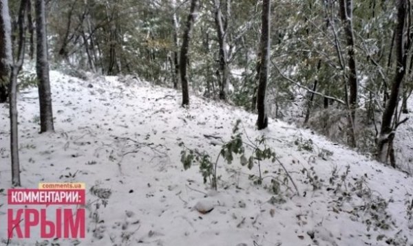 У Криму ‒ перший сніг. ФОТО
