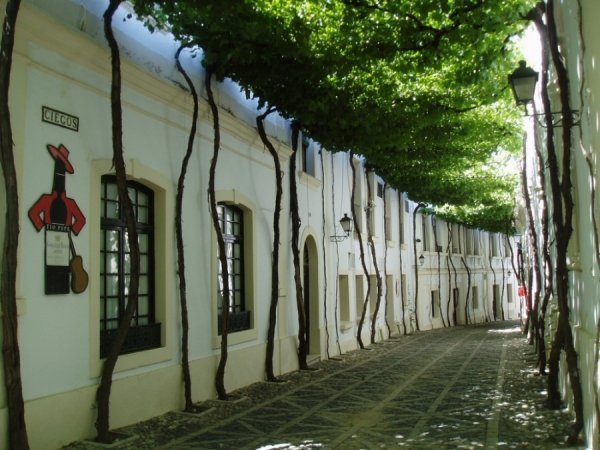 Херес, Іспанія