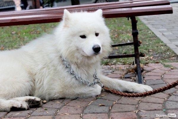 Стильний Луцьк. Портрет дня: Каріна