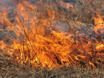 На Волині за добу – 15 пожеж