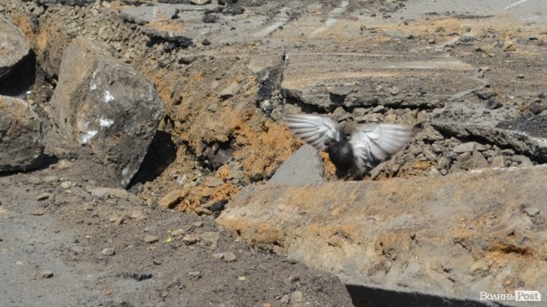 Мир клумбам, війна кіоскам: у Луцьку кардинально змінюють Привокзальну площу