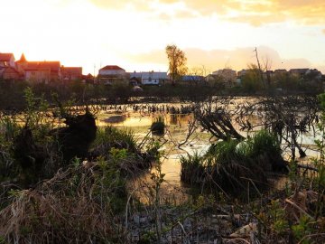 Лучан запрошують на незвичну екскурсію