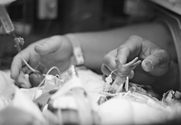 Кращі роботи фотоконкурсу від National Geographic. ФОТО