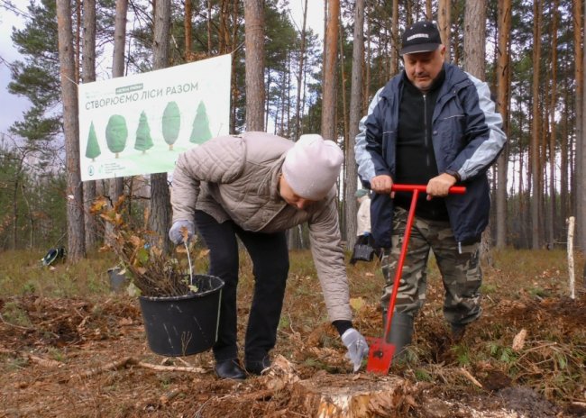 На Волині висадили ще близько 8 тисяч молодих дерев. ФОТО