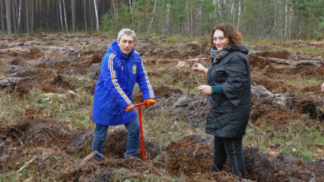 На Волині висадили ще близько 8 тисяч молодих дерев. ФОТО
