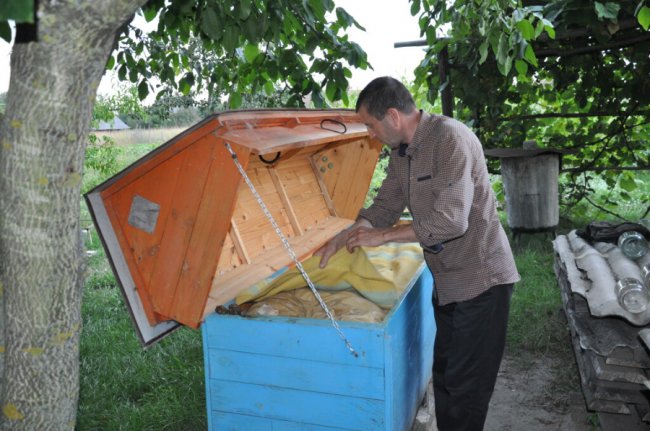 «Придбав спочатку 4 сім’ї та 4 вулики – тепер це вже ціла пасіка»: волинянин 14 років присвятив бджолярству 