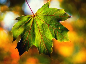 Погода у Луцьку та Волинській області на завтра, 4 вересня