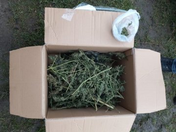 На Волині у чоловіка в гаражі виявили майже кілограм марихуани