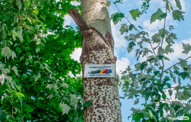 Там, де розвертаються тролейбуси: як живе 40-ий мікрорайон Луцька