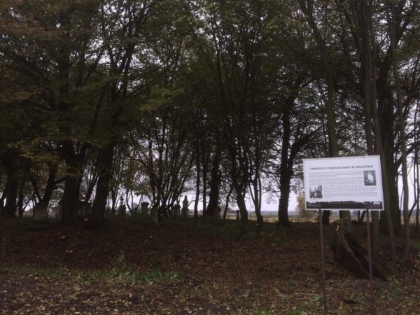 Волиняни повернулися з Польщі, де відновлювали українські цвинтарі