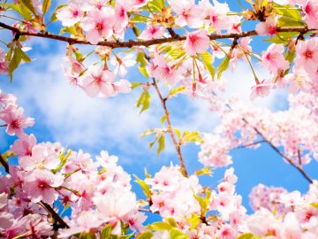 Негода відступає: синоптик дав прогноз на тиждень в Україні